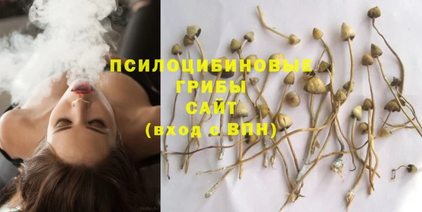 метамфетамин Алексеевка