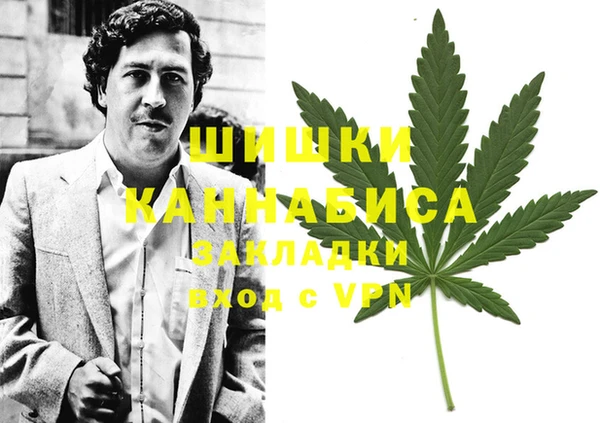 прущие крисы Алзамай