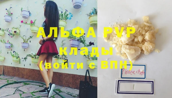 прущие крисы Алзамай