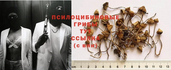 прущие крисы Алзамай