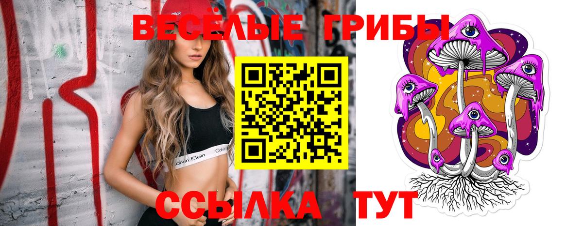 Псилоцибиновые грибы мухоморы  Галлюциногенные грибы Psilocybine cubensis  где купить наркотик  Южно-Сахалинск  Вход с VPN 